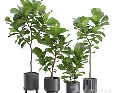 مدل سه بعدی گل و گلدان مدل سه بعدی گل و گلدان