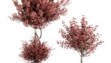 5454001.64ad8333b48b1