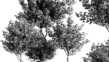 5454003.64ad8333ba7d1