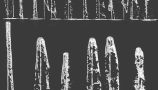 5625071.64f499ae4ccaf