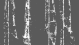 5625075.64f499ae5273e