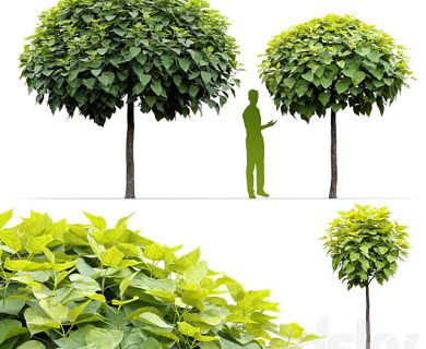 مدل سه بعدی گل و گلدان مدل سه بعدی گل و گلدان