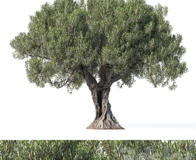 مدل سه بعدی گل و گلدان مدل سه بعدی گل و گلدان
