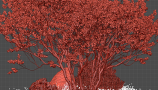 5692222.650f45bb9e2a4