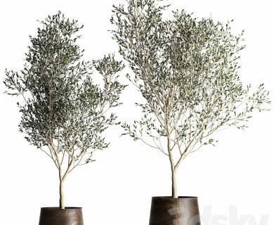 مدل سه بعدی گل و گلدان