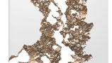 7021707.66ec69eb04692