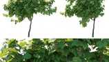 4981824.63fe3a779016f