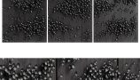 5946051.656df08796715