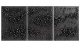 5946052.656df08799ec1