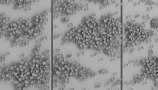 5946057.656df087a353c