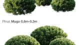 3348190.60618c079c65b