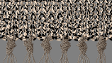 3858612.61bce91ee2830
