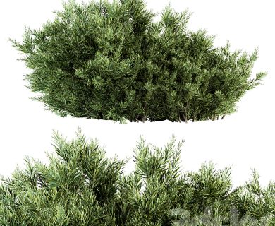مدل سه بعدی گل و گلدان مدل سه بعدی گل و گلدان