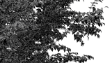3544110.60f4713186793