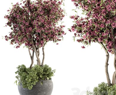 مدل سه بعدی گل و گلدان
