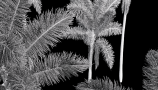 4340605.62d4fec2b745a