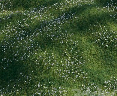 مدل سه بعدی گل و گلدان مدل سه بعدی گل و گلدان