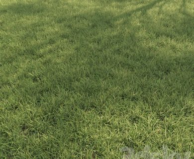 مدل سه بعدی گل و گلدان مدل سه بعدی گل و گلدان