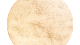 7729996.68399f814ba15