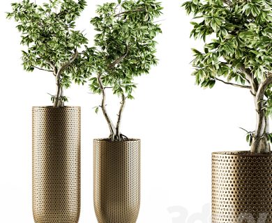 مدل سه بعدی گل و گلدان