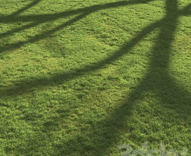 مدل سه بعدی گل و گلدان