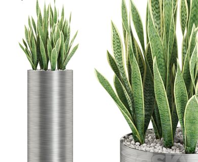 مدل سه بعدی گل و گلدان