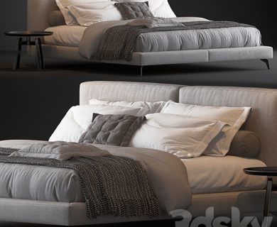 مدل سه بعدی تخت