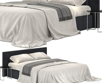 مدل سه بعدی تخت