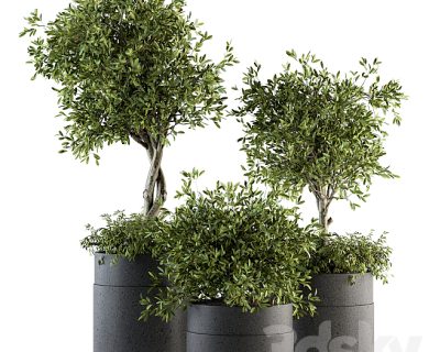 مدل سه بعدی گل و گلدان