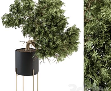 مدل سه بعدی گل و گلدان