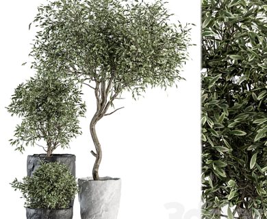 مدل سه بعدی گل و گلدان