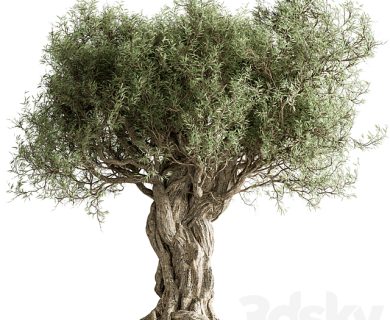 مدل سه بعدی گل و گلدان