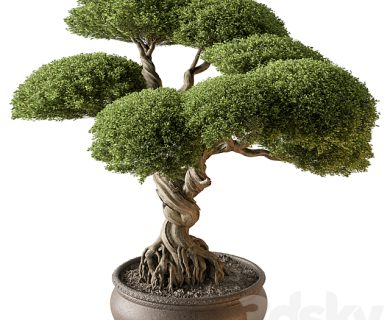 مدل سه بعدی گل و گلدان