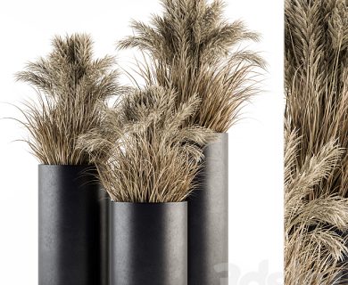 مدل سه بعدی گل و گلدان