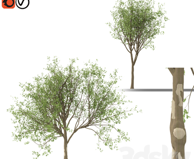 مدل سه بعدی گل و گلدان