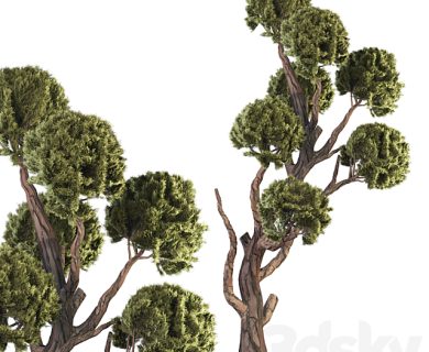 مدل سه بعدی گل و گلدان