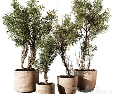 مدل سه بعدی گل و گلدان