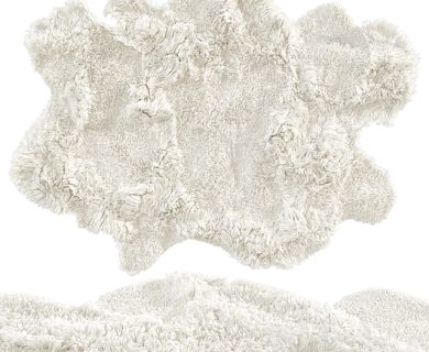 مدل سه بعدی فرش