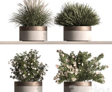 مدل سه بعدی گل و گلدان