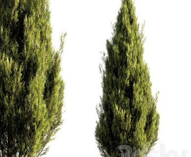 مدل سه بعدی گل و گلدان
