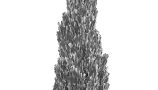 5909482.656096d8761ad