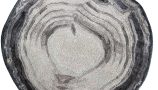5894557.655b619654166 5894557.655b619654166