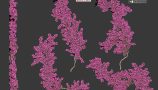 5895667.655b9c3e08014 5895667.655b9c3e08014