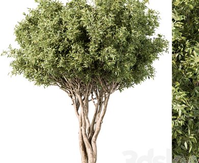 مدل سه بعدی گل و گلدان