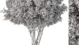 4753238.63a2811f947da