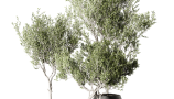 5909996.6560b0adf359b