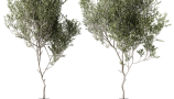 5910004.6560b0c7cade7