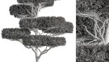 6321033.65f7aae6c17e3