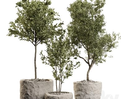 مدل سه بعدی گل و گلدان