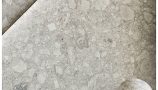 5482170.64b80190baabd